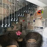 Oliva Butik
