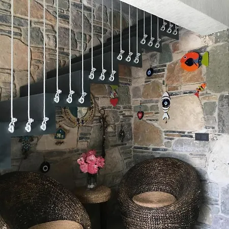 Oliva Butik
