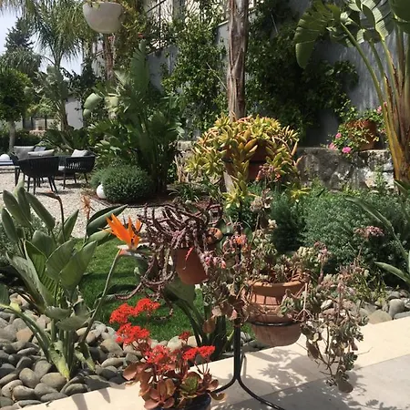 Oliva Butik 3* Bodrum