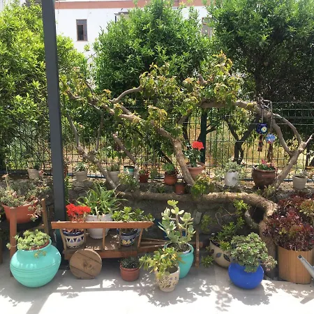 Oliva Butik Hotel Bodrum