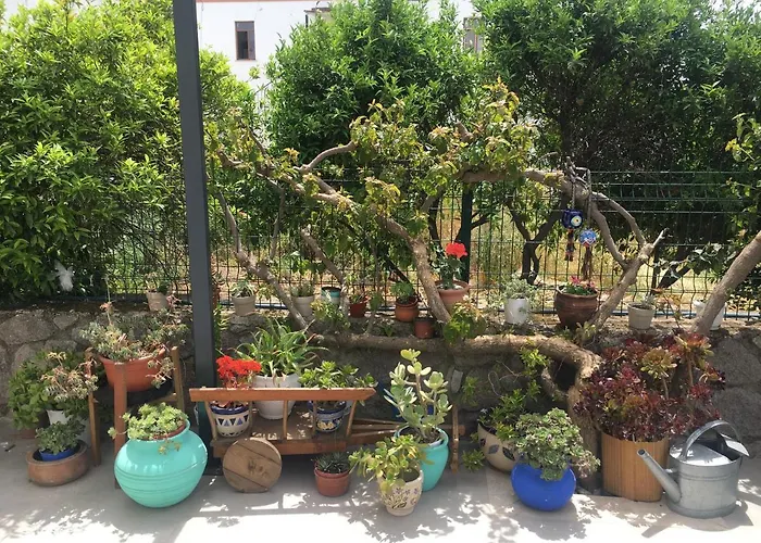 Oliva Butik Otel Bodrum