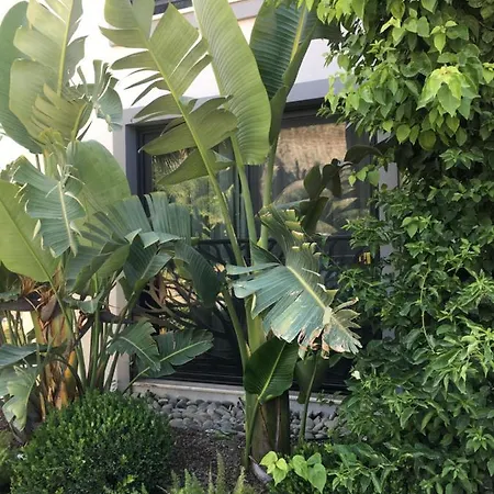 Hotell Oliva Butik