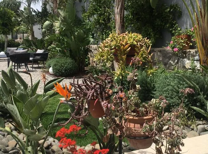 Oliva Butik 3* Bodrum