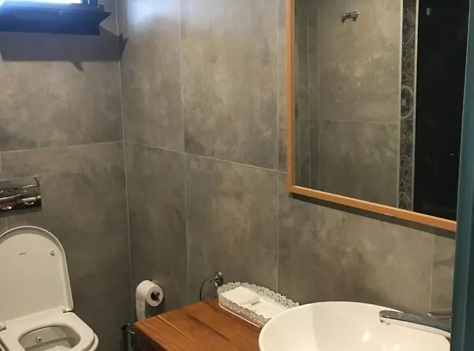 Hotel Oliva Butik 3*