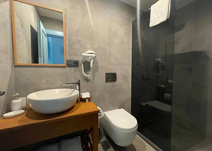 Oliva Butik מלון 3*